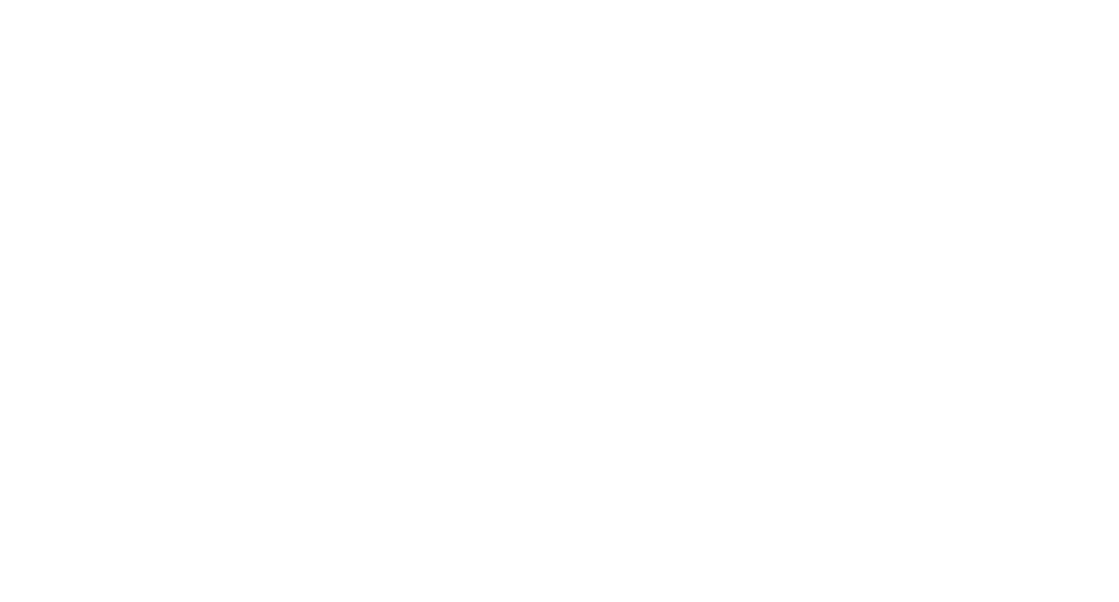 Lily Rose Home Solutions